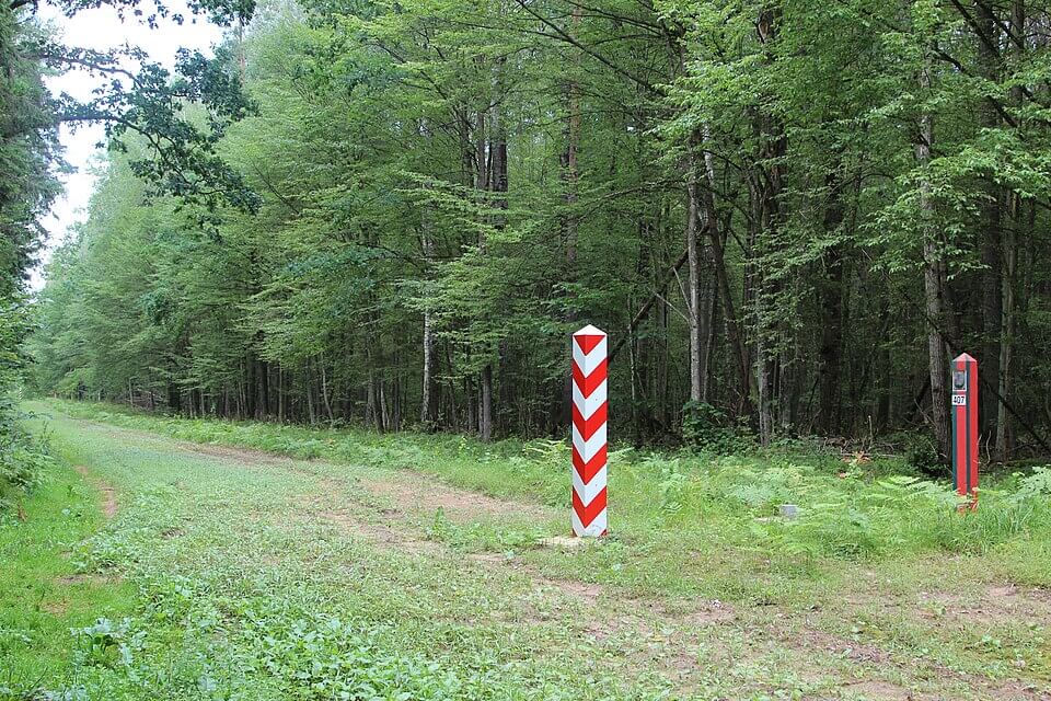 La frontiera tra Polonia e Belarus' nella foresta di Białowieża