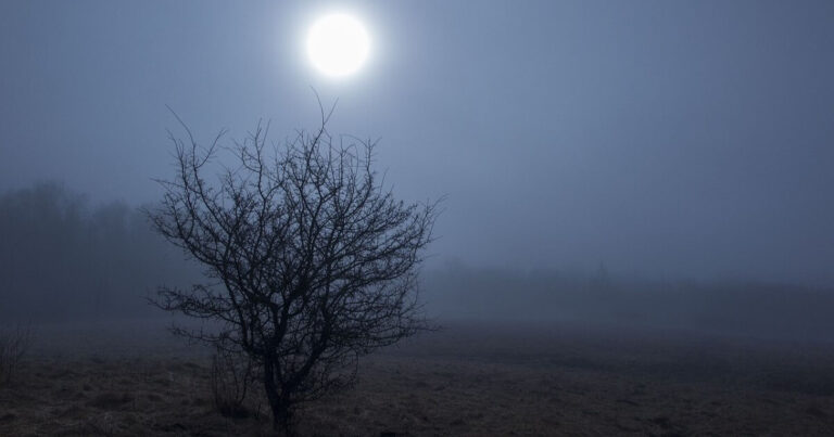 nebbia-e-chiaro-di-luna