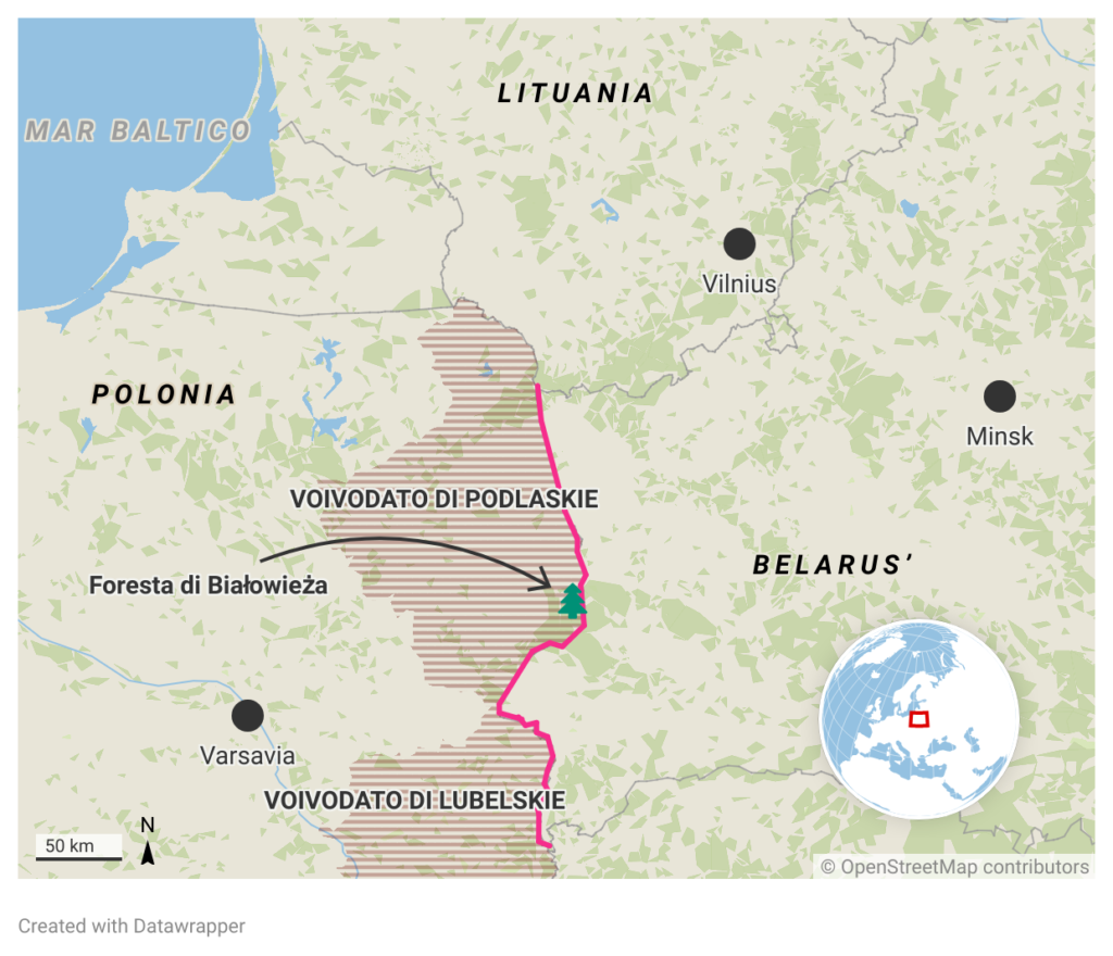 Il confine tra Belarus’ e Polonia, lungo il quale è stato costruito il muro anti-migranti (Meridiano 13/DataWrapper)