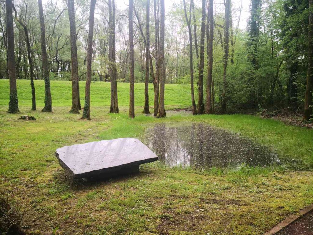 Donja Gradina, Jasenovac, zone paludose
