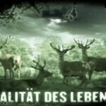 Laibach - Cervo tratto da Tanz Mit Laibach