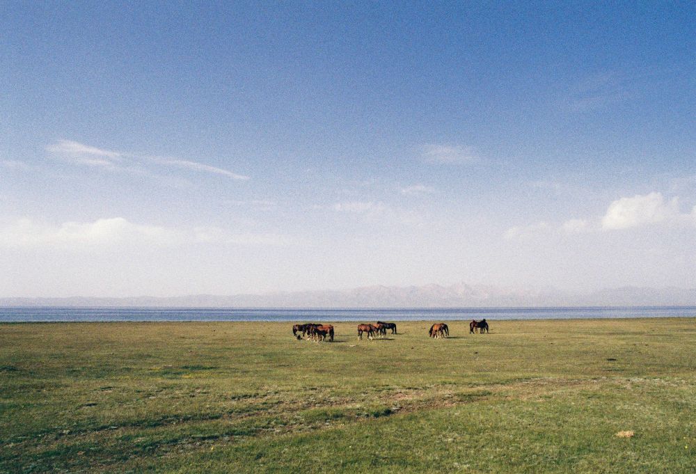 Biškek