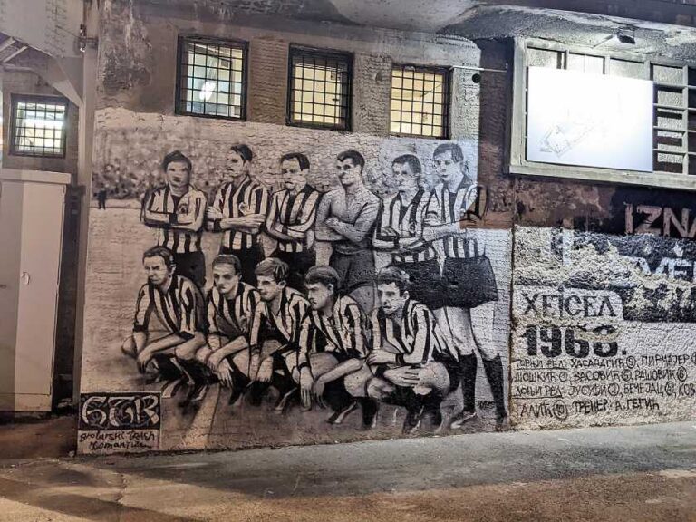 Partizan 1966
