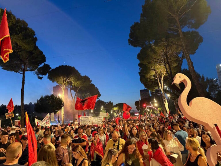 Rivoluzione dei fenicotteri